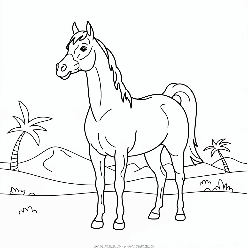 Arabský Kůň Omalovánka
