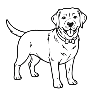 Černý pes labrador Omalovánka