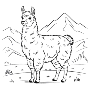 Realistická Lama Omalovánka