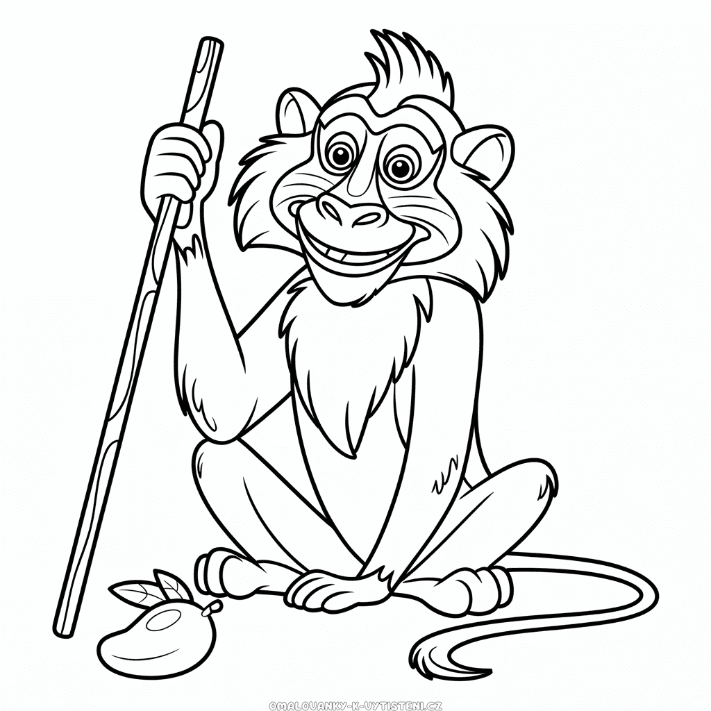 Rafiki z Lvího Krále Omalovánka